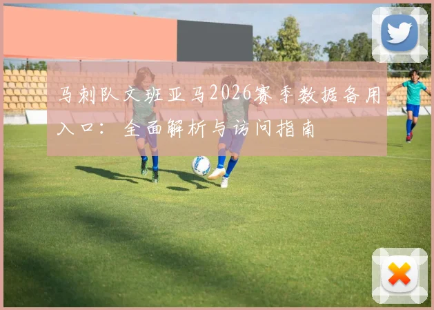 马刺队文班亚马2026赛季数据备用入口：全面解析与访问指南