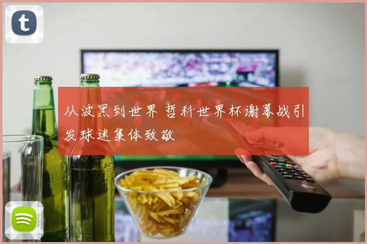 从波黑到世界 哲科世界杯谢幕战引发球迷集体致敬