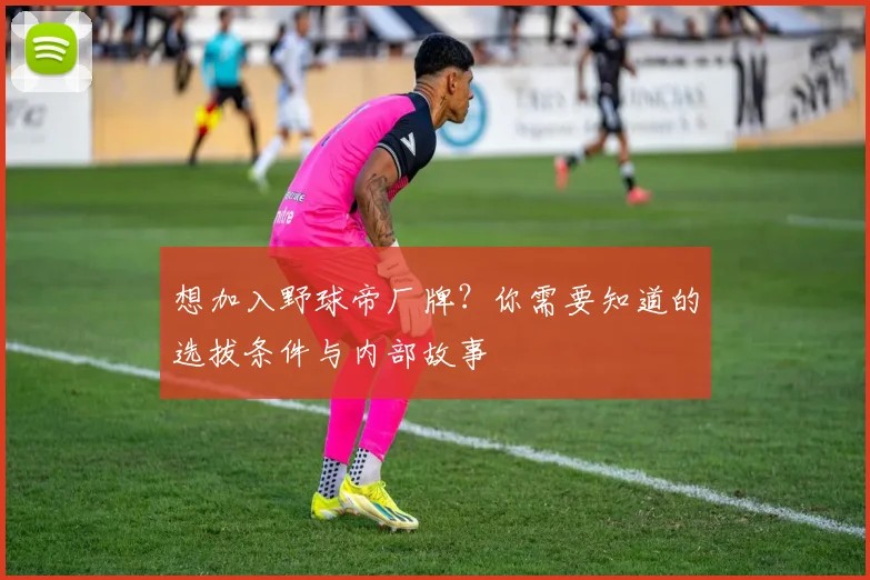 想加入野球帝厂牌？你需要知道的选拔条件与内部故事